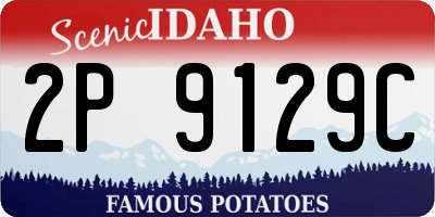 ID license plate 2P9129C