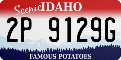 ID license plate 2P9129G