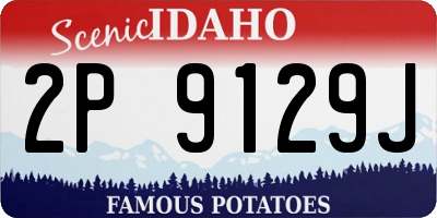 ID license plate 2P9129J