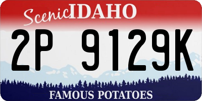ID license plate 2P9129K