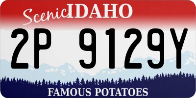 ID license plate 2P9129Y