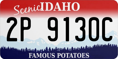 ID license plate 2P9130C