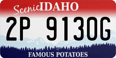 ID license plate 2P9130G