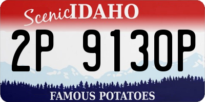 ID license plate 2P9130P