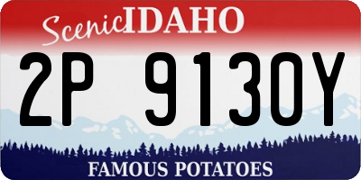 ID license plate 2P9130Y