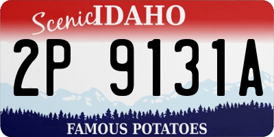 ID license plate 2P9131A