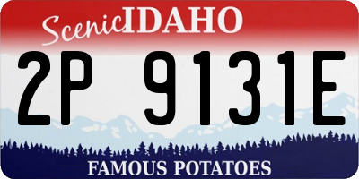 ID license plate 2P9131E
