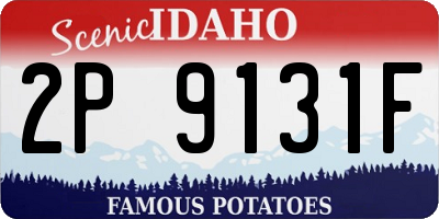 ID license plate 2P9131F