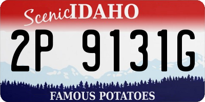 ID license plate 2P9131G