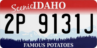 ID license plate 2P9131J