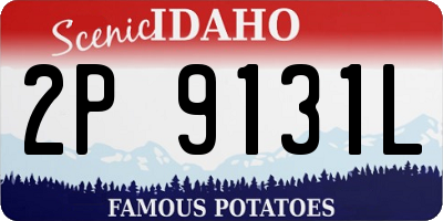ID license plate 2P9131L