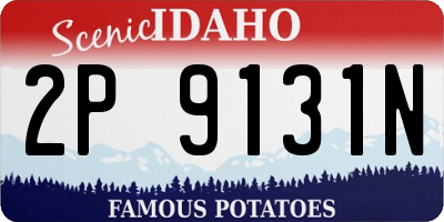 ID license plate 2P9131N