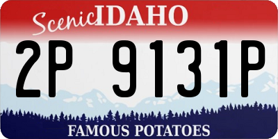 ID license plate 2P9131P