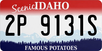 ID license plate 2P9131S