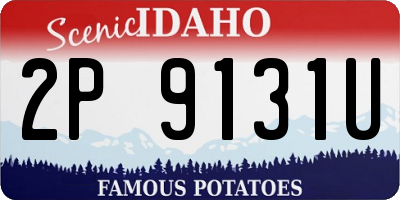 ID license plate 2P9131U