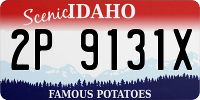 ID license plate 2P9131X