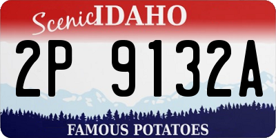 ID license plate 2P9132A
