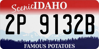 ID license plate 2P9132B