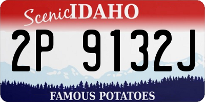 ID license plate 2P9132J