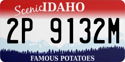 ID license plate 2P9132M