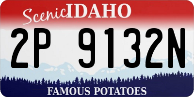 ID license plate 2P9132N