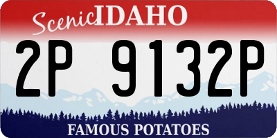 ID license plate 2P9132P