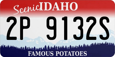 ID license plate 2P9132S