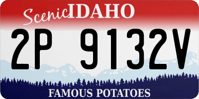 ID license plate 2P9132V