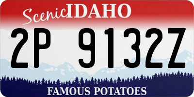 ID license plate 2P9132Z