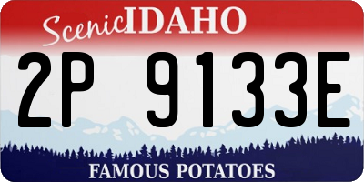 ID license plate 2P9133E