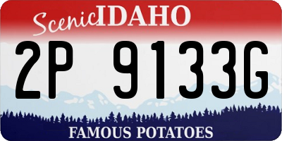 ID license plate 2P9133G