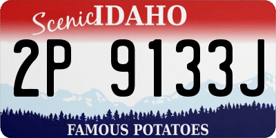 ID license plate 2P9133J