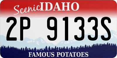 ID license plate 2P9133S