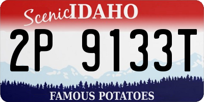 ID license plate 2P9133T