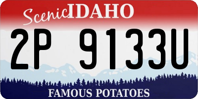 ID license plate 2P9133U