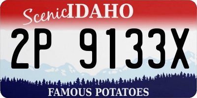 ID license plate 2P9133X