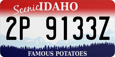 ID license plate 2P9133Z