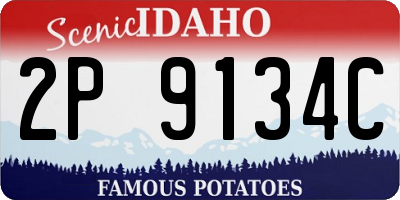 ID license plate 2P9134C