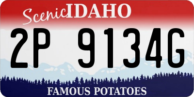 ID license plate 2P9134G