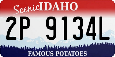 ID license plate 2P9134L
