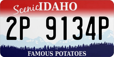 ID license plate 2P9134P