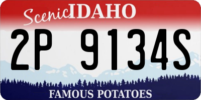 ID license plate 2P9134S