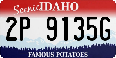 ID license plate 2P9135G