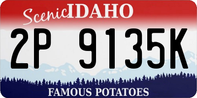 ID license plate 2P9135K