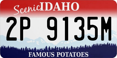 ID license plate 2P9135M