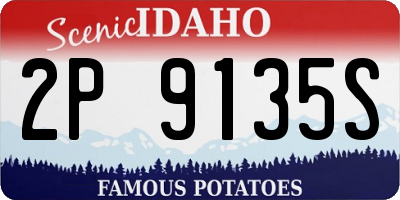 ID license plate 2P9135S