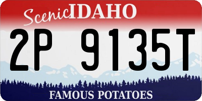 ID license plate 2P9135T