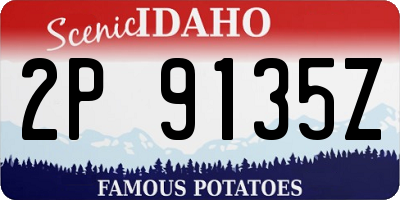 ID license plate 2P9135Z