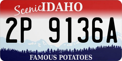 ID license plate 2P9136A