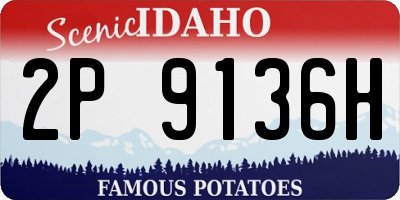 ID license plate 2P9136H